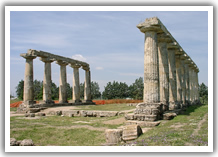 metaponto lido