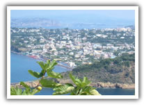 Procida