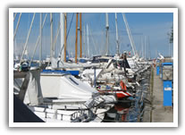 alberghi cervia