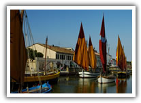vacanze cesenatico