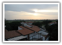 alberghi lido di savio
