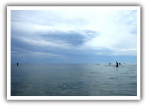 alberghi lido di spina