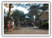 alberghi riccione