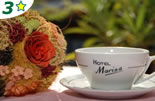 Hotel Marisa Albenga - Alassio