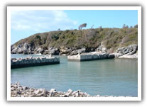 Formia