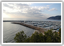 Andora