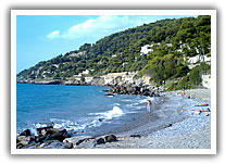 Andora