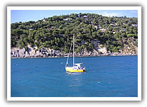 Andora
