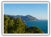 Levanto