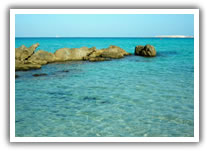 Gallipoli