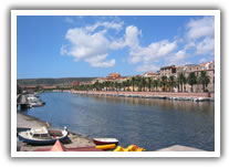 Bosa
