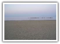 Follonica