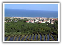 alberghi rosolina mare